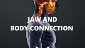 JAW AND BODY CONNECTION